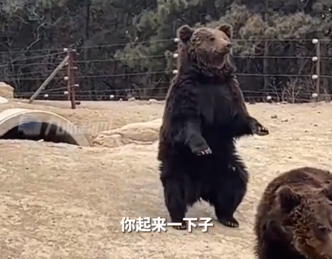 QQ截图20230315084703