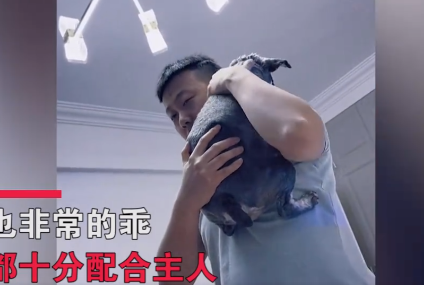 微信截图_20230410103403